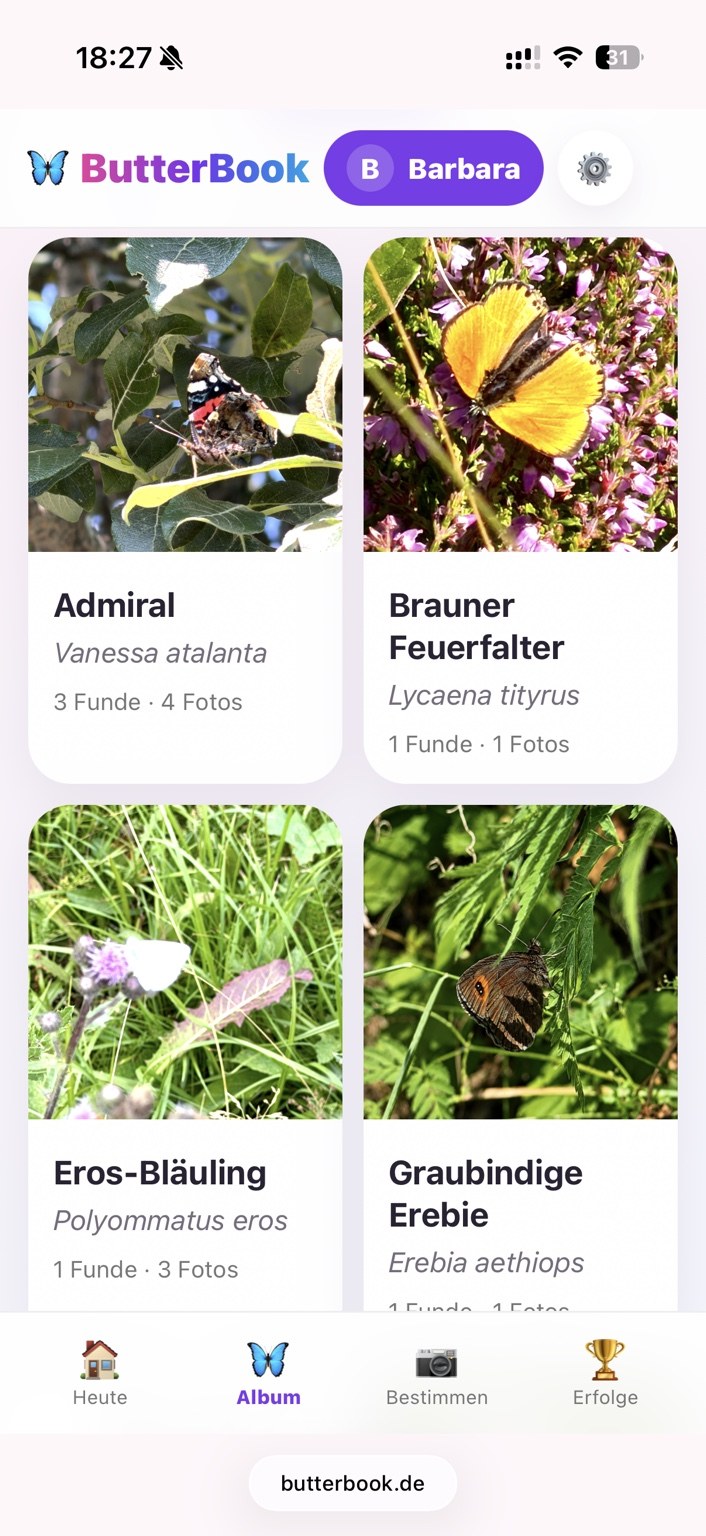 ButterBook Album mit echten Schmetterlingsfotos