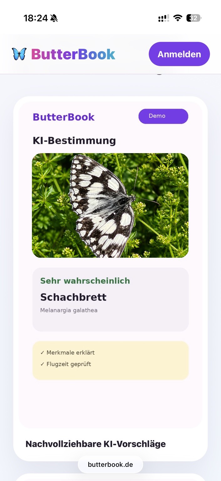 ButterBook KI-Bestimmung eines Schachbrettfalters